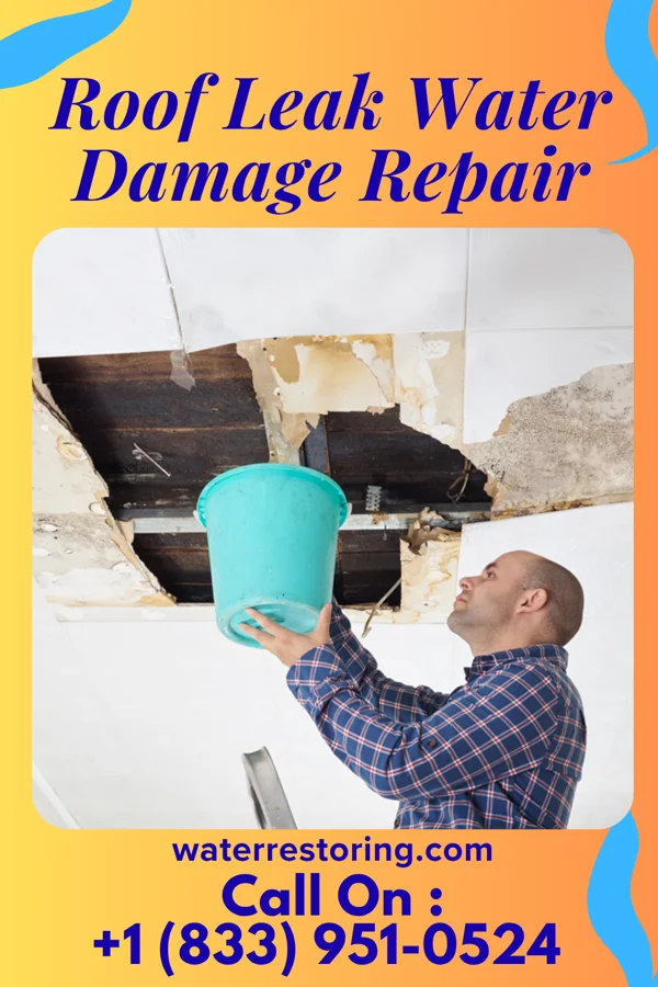 Roof Leak Water Damage Repair in Heil, ND